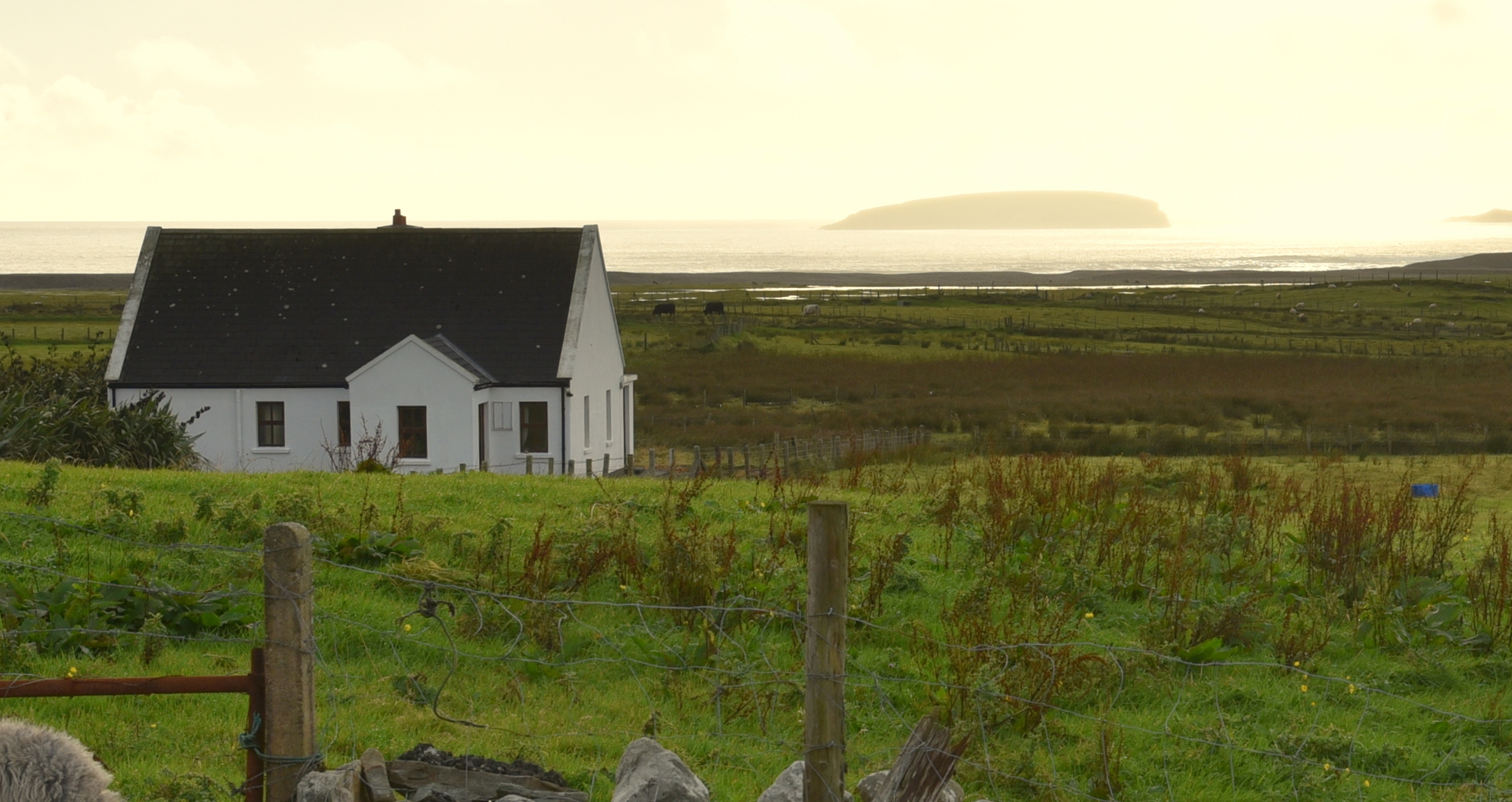 One story house in green fields at dawn.