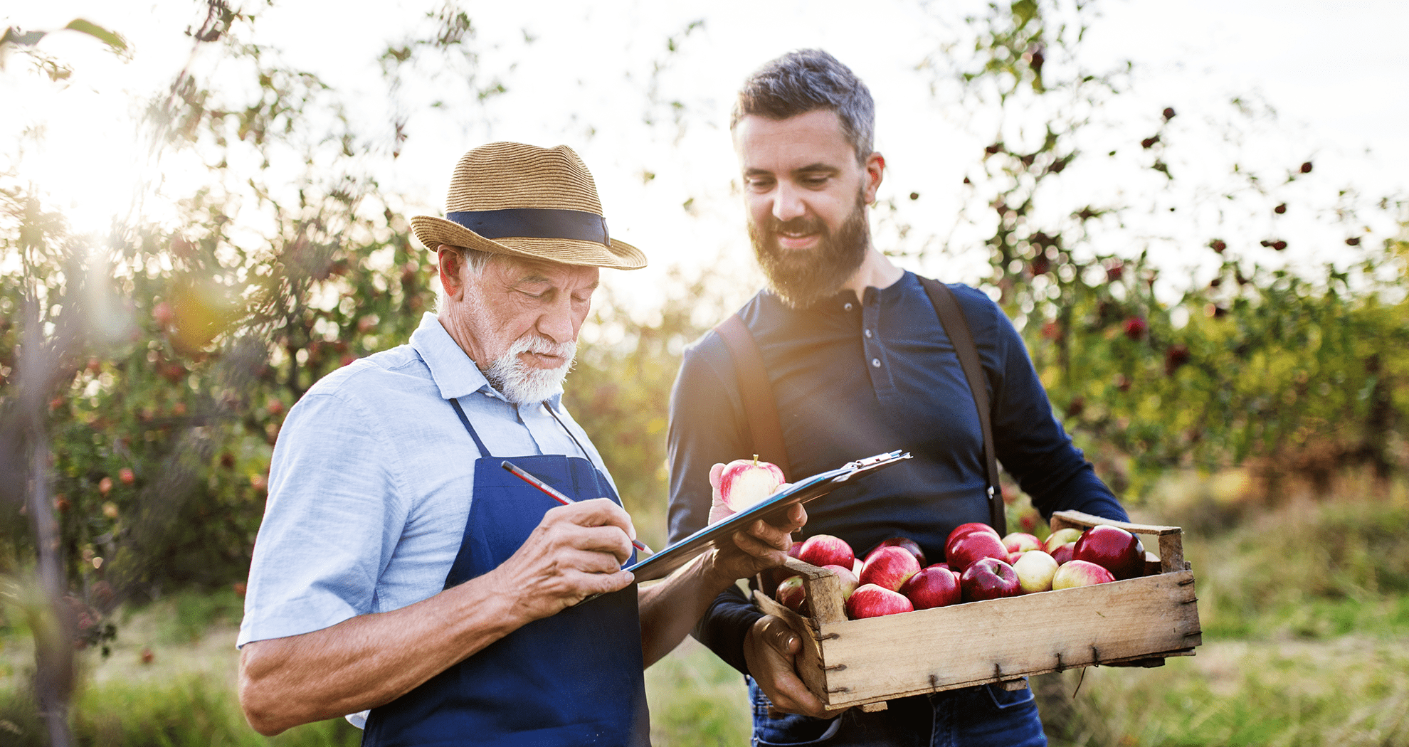 two men in an apple orchard