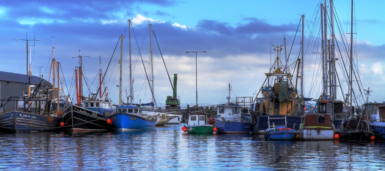 boats in harbour
