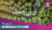 SUSTAINABILITY REPORT – TRANSPORT