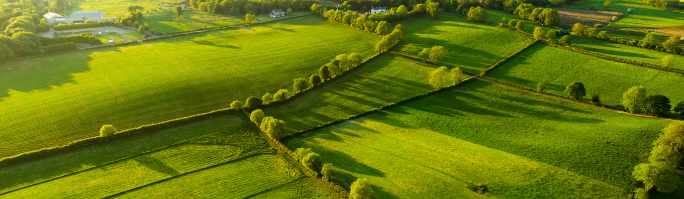 Food & Agriculture