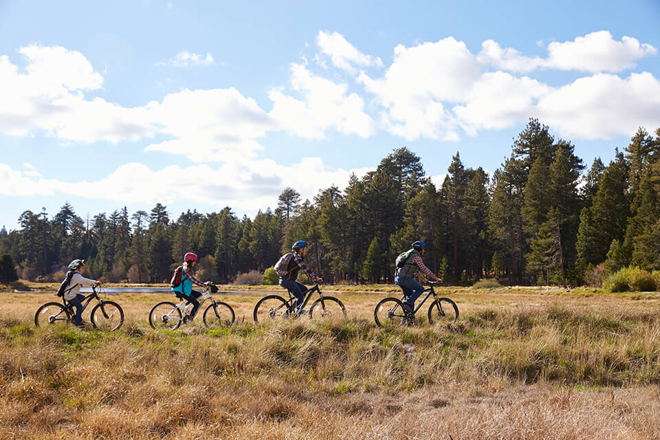 A family of four cycling through a grassy terrain near a forrest.