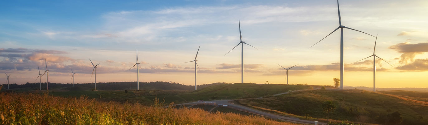 Windfarm